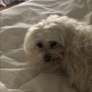 Meet your Posher, Don